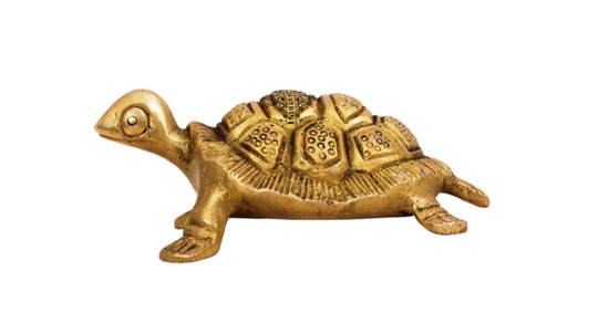 Vastu and Fengshui