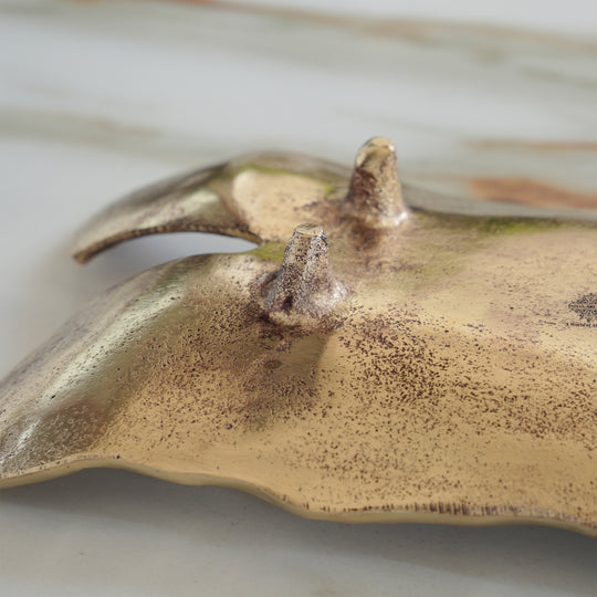 Antique Brass Rough Finish Tray/Paltter