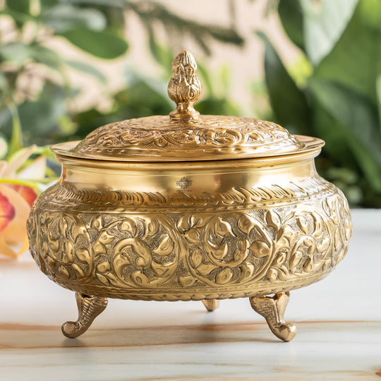 Sleek and wide brass handi in traditional shape with side loop handles and high dome lid designed in golden brass tone