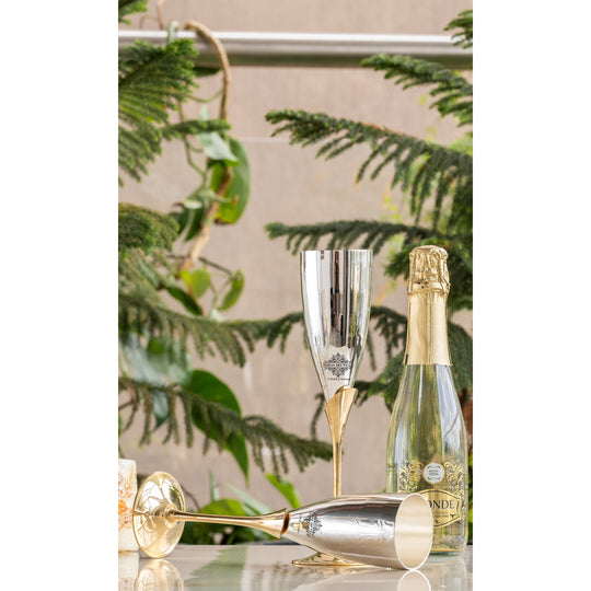 Silver Plated Champagne Flutes Set of 2 with Gift Box