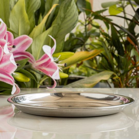 Stainless Steel Hammered Design Plate