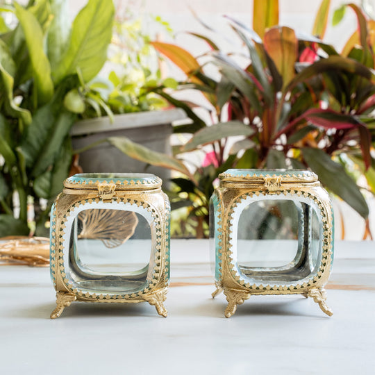 Multipupose Decorative Box with Glass and Brass with Velvet Gift Box