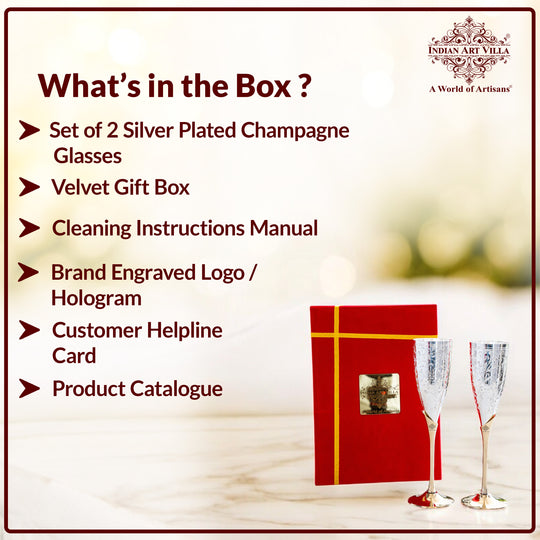 Set of 2 Silver Plated & Brass Champagne Wine Glass With Box