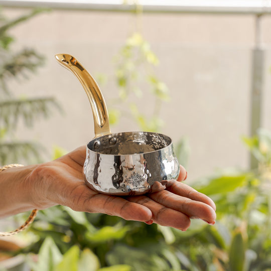 Stainless Steel Curved Design Serving Sauce Pan with Brass Handle